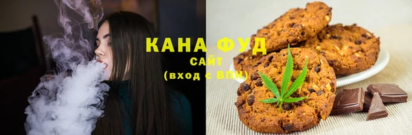 метадон Богданович