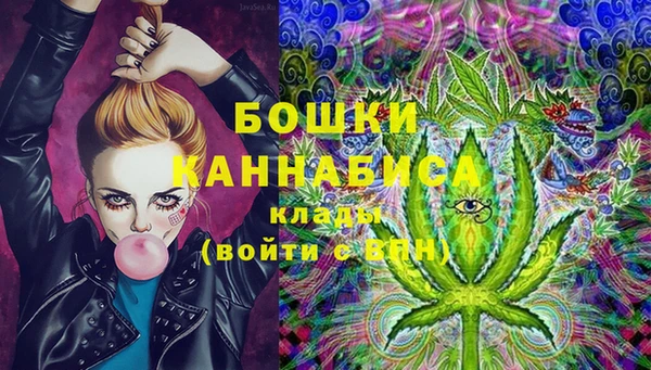 метадон Богданович