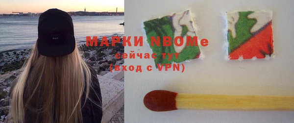 метадон Богданович