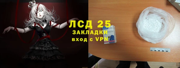 метадон Богданович