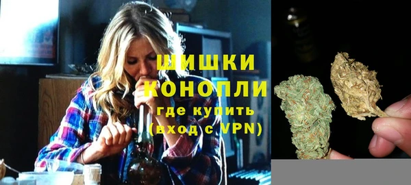 PSILOCYBIN Богородск