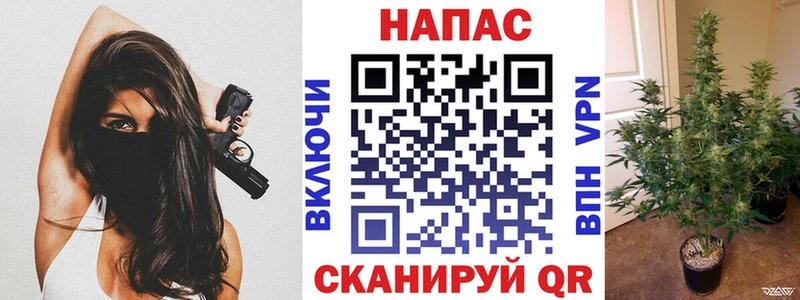 Купить закладки Дрезна Канабис индика